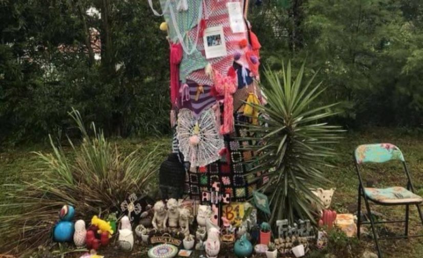 Council, Sonia Anderson In Talks on Making Bianca Girven Tree a Permanent Memorial